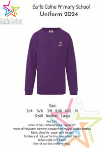 ECPS Purple School Jumper