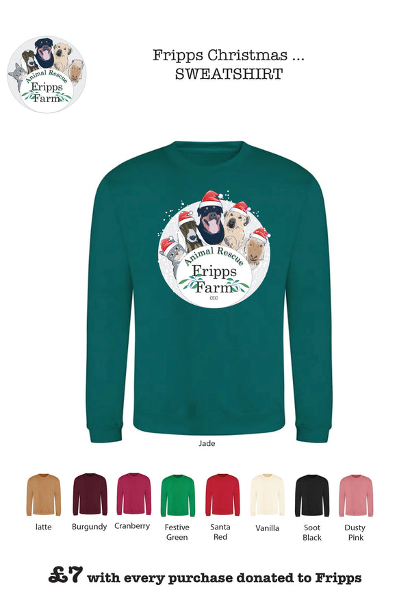 Fripps Farm CIC - Christmas Jumper